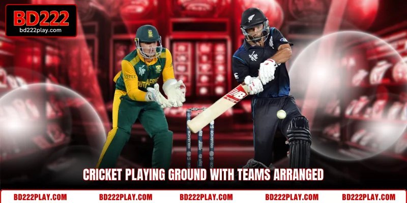 Cricket playing ground with teams arranged