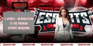 E-sports - Introduction To The Premier Esports Wagering