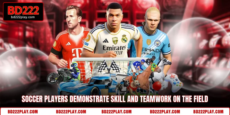 Soccer players demonstrate skill and teamwork on the field
